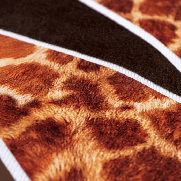 Wild giraffe